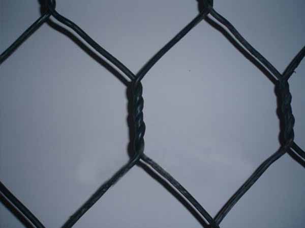 五拧石笼网 - 安平县全昊金属丝网制品有限公司图片4