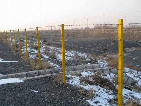 刺绳护栏网 - 安平县全昊金属丝网制品有限公司图片2