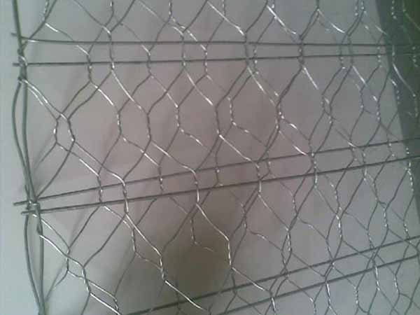 加筋网 - 安平县全昊金属丝网制品有限公司图片2