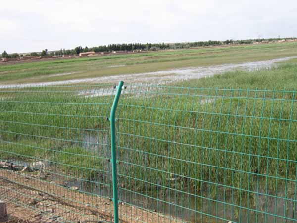 双边丝护栏网 - 安平县全昊金属丝网制品有限公司图片3