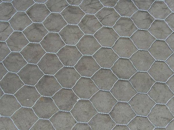 五拧石笼网 - 安平县全昊金属丝网制品有限公司图片5